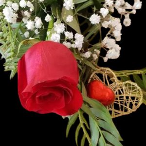 Premium Single Red Rose