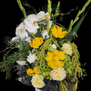 Super Premium Design 7