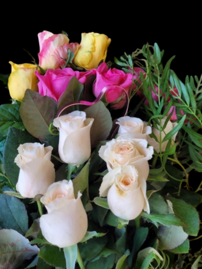 Valentines Day! Dozen Colour Roses