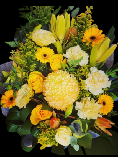 Sympathy Designer Bright BOX