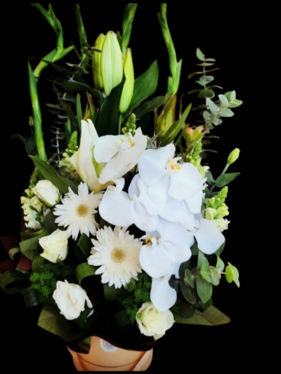 Large Premium Design 3